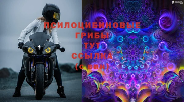 спайс Арсеньев