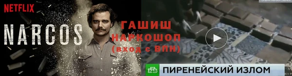 спайс Арсеньев