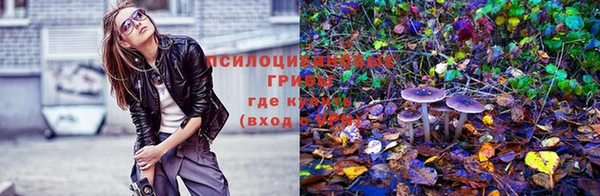 спайс Арсеньев