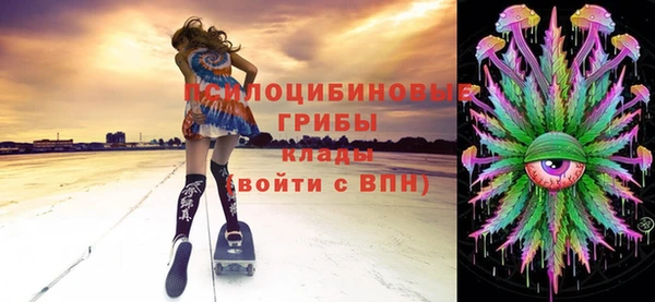 спайс Арсеньев