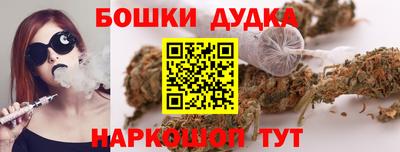 a pvp Бердск