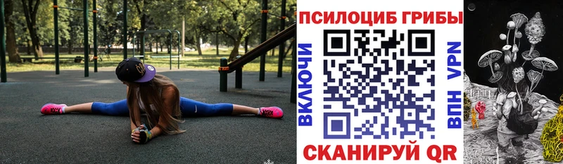 Псилоцибиновые грибы Psilocybine cubensis  Усть-Лабинск 