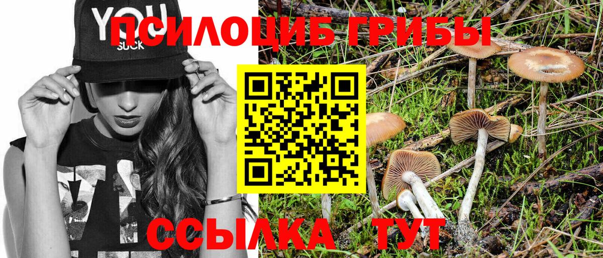Псилоцибиновые грибы GOLDEN TEACHER Усть-Лабинск